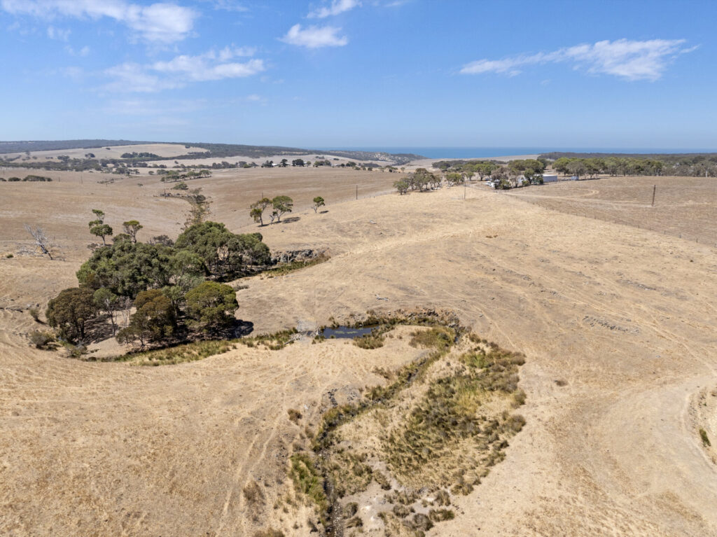 Buyer of a Lifestyle Property in Waitpinga property